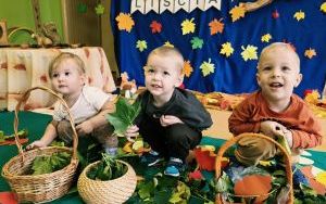 Dzień Spadającego Liścia w grupie Misie (3)