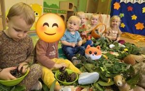 Dzień Spadającego Liścia w grupie Misie (5)
