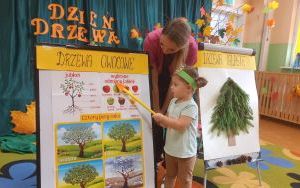 Dzień Drzewa w grupie „Pszczółki”  (3)