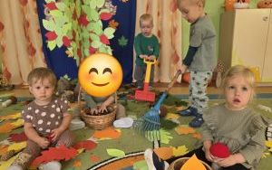 Dzień Drzewa w grupie „Misie”  (5)