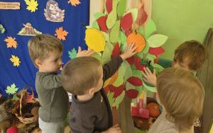 Dzień Drzewa w grupie „Misie”  (6)