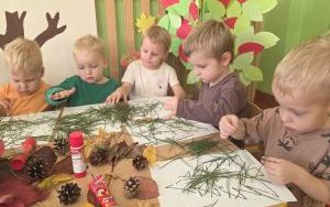 Dzień Drzewa w grupie „Misie”  (1)