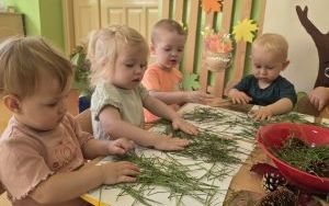 Dzień Drzewa w grupie „Misie”  (2)
