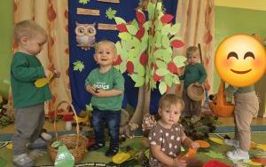 Dzień Drzewa w grupie „Misie”  (3)