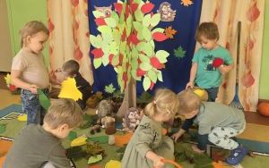 Dzień Drzewa w grupie „Misie”  (4)