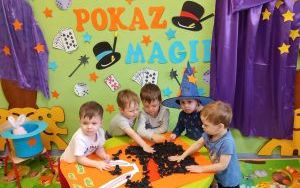 Dzień Iluzjonisty - Grupa Biedronek  (4)
