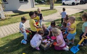 Żłobkowy ogródek (6)