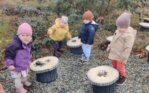 Jesienna wyprawa grupy „Misie” (2)