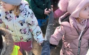 Miniony tydzień - grupa Pszczółek: Tydzień pełen kolorów (2)