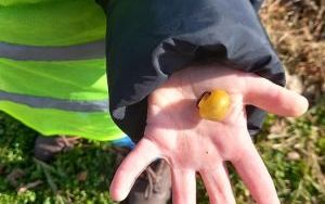 Miniony tydzień - grupa Pszczółek: Tydzień pełen kolorów (5)