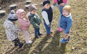 Miniony tydzień - grupa Misie: Tydzień pełen pomysłów i działań (1)