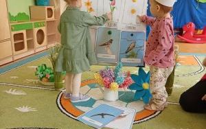 Witaj Wiosno - grupa Misie (9)