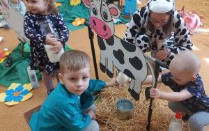 Grupa Pszczółek na farmie pełnej wrażeń (2)