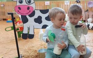 Grupa Pszczółek na farmie pełnej wrażeń (7)