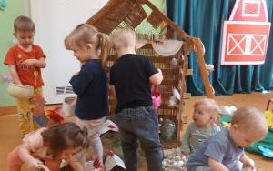 Grupa Pszczółek na farmie pełnej wrażeń (2)