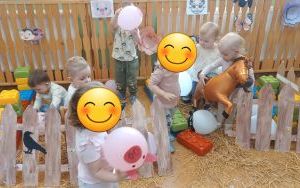 Grupa Pszczółek na farmie pełnej wrażeń (4)