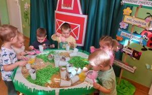 Grupa Pszczółek na farmie pełnej wrażeń (6)