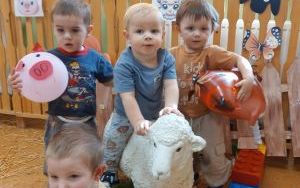 Grupa Pszczółek na farmie pełnej wrażeń (9)