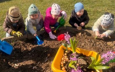 Miniony tydzień - grupa Pszczółek: Tydzień wspólnej zabawy (5)