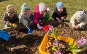 Miniony tydzień - grupa Pszczółek: Tydzień wspólnej zabawy (5)