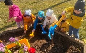 Miniony tydzień - grupa Pszczółek: Tydzień wspólnej zabawy (9)