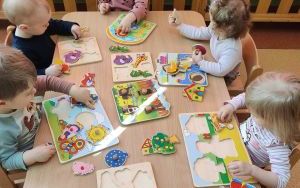 Miniony tydzień - grupa Misie: tydzień małych odkrywców  (9)