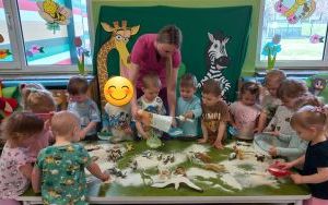 Miniony tydzień - grupa Pszczółek: tydzień małych odkrywców  (4)