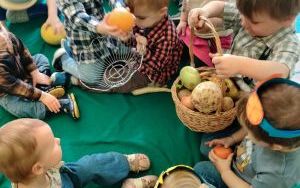 Dzień owoców i warzyw w grupie Misie (9)